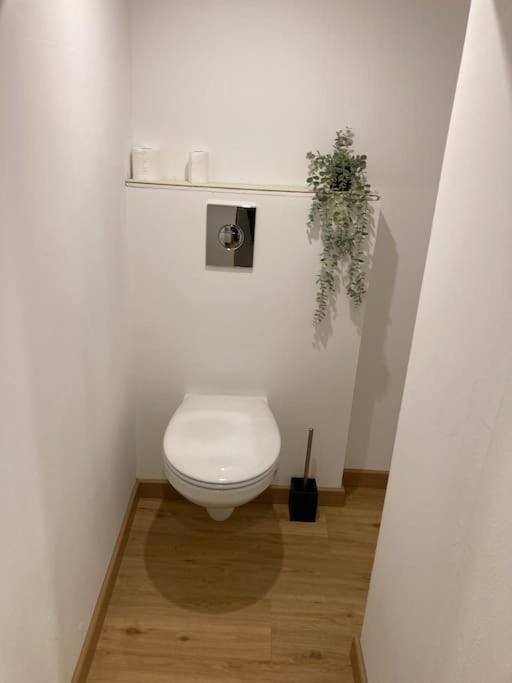 Appartement Chaleureux Proche Centre Clermont-Ferrand Exteriör bild